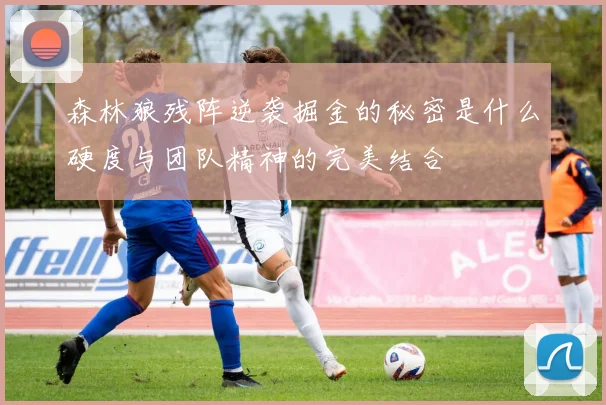 森林狼残阵逆袭掘金的秘密是什么硬度与团队精神的完美结合
