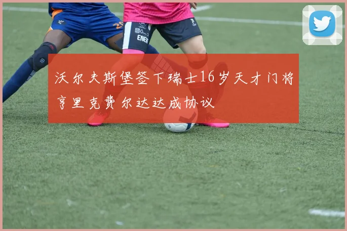 沃尔夫斯堡签下瑞士16岁天才门将亨里克费尔达达成协议